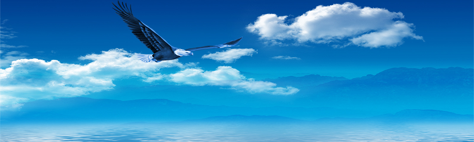 劉強(qiáng)東卸任京東法定代表人 官方首回應(yīng)：很正常